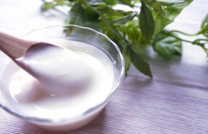 ケフィアヨーグルトの効能とは 効果の違いと種菌 豆乳や低脂肪乳での作り方